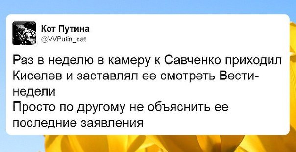 "Мыздобулы" в картинках. Смешных и не очень... 11-08-2016 "Мыздобулы" в картинках. Смешных и не очень... 11-08-2016