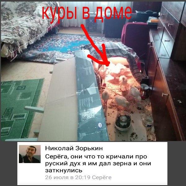 Мыздобулы" в картинках. Смешных и не очень... 13-08-2016 Мыздобулы" в картинках. Смешных и не очень... 13-08-2016