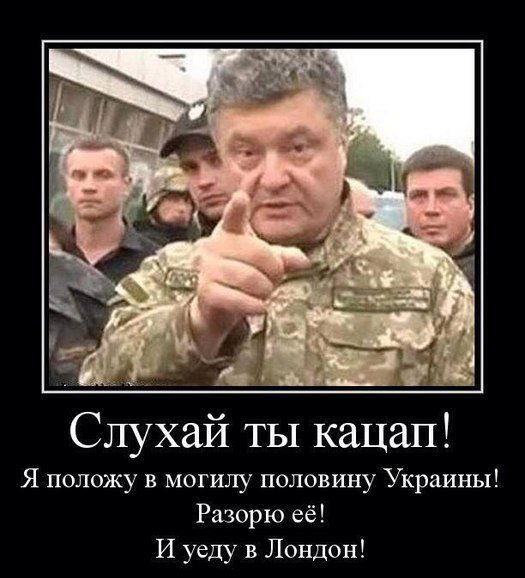 Мыздобулы" в картинках. Смешных и не очень... 13-08-2016 Мыздобулы" в картинках. Смешных и не очень... 13-08-2016