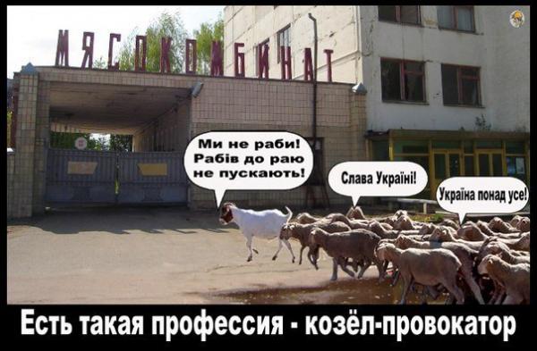 Мыздобулы" в картинках. Смешных и не очень... 13-08-2016 Мыздобулы" в картинках. Смешных и не очень... 13-08-2016