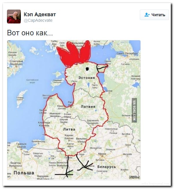 Мыздобулы" в картинках. Смешных и не очень... 13-08-2016 Мыздобулы" в картинках. Смешных и не очень... 13-08-2016