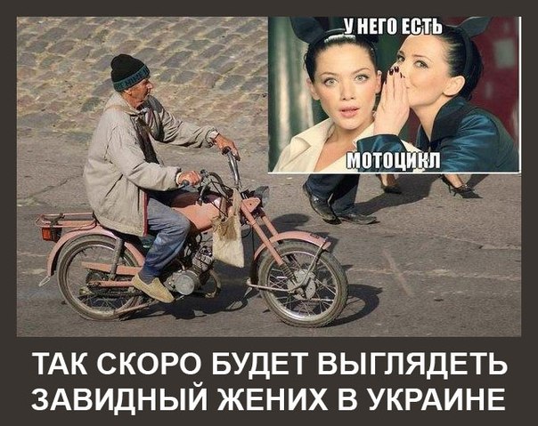 Мыздобулы" в картинках. Смешных и не очень... 13-08-2016 Мыздобулы" в картинках. Смешных и не очень... 13-08-2016