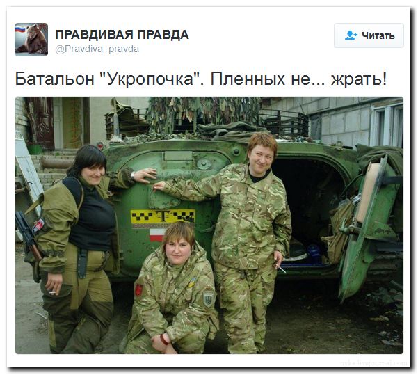 "Мыздобулы" в картинках. Смешных и не очень... 22-08-2016 "Мыздобулы" в картинках. Смешных и не очень... 22-08-2016