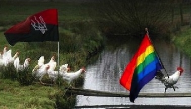 Петух-правосек изнасиловал дедушку Петух-правосек изнасиловал дедушку