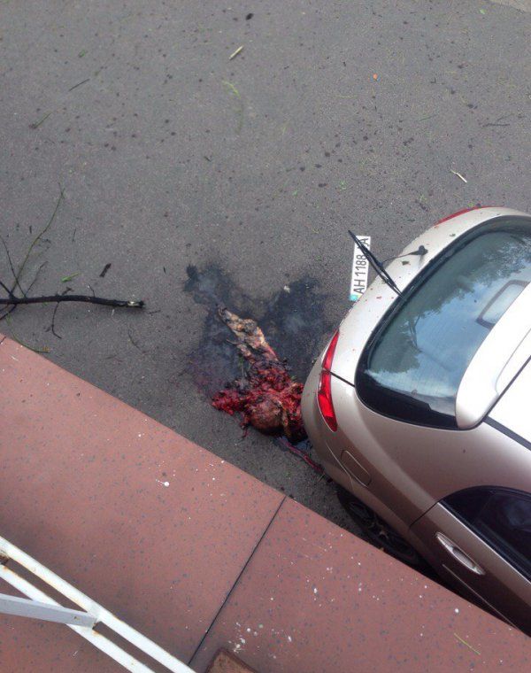 В центре Донецка прогремел мощный взрыв, один человек погиб (Фото 18+)