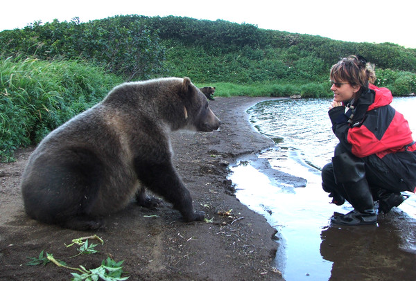 Как себя вести при встрече с русским медведем. Правила этикета Как себя вести при встрече с русским медведем. Правила этикета