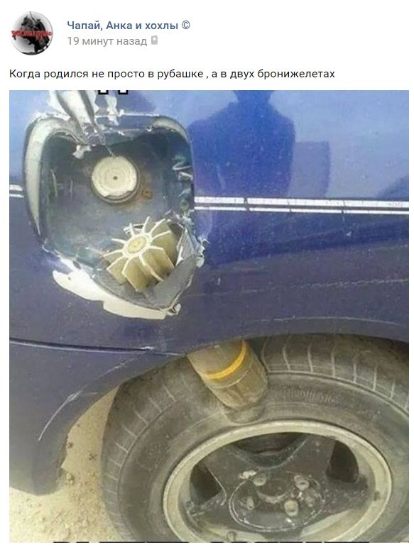 "Мыздобулы" в картинках. Смешных и не очень... 27-08-2016