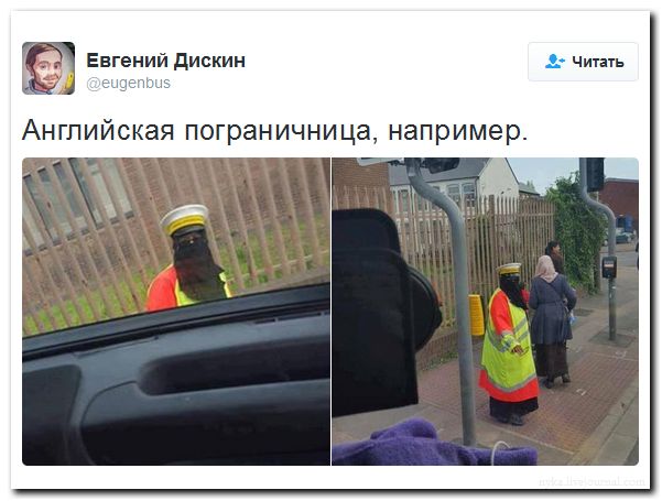 "Мыздобулы" в картинках. Смешных и не очень... 27-08-2016