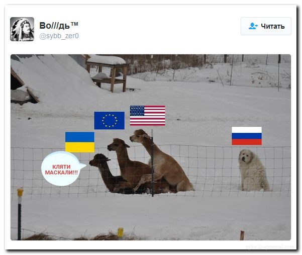 "Мыздобулы" в картинках. Смешных и не очень... 27-08-2016