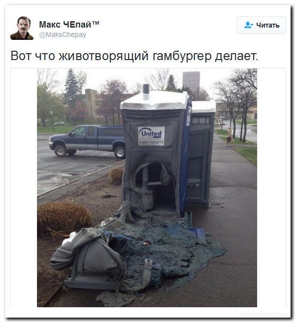 "Мыздобулы" в картинках. Смешных и не очень... 27-08-2016