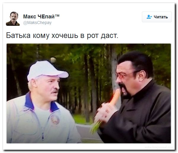 "Мыздобулы" в картинках. Смешных и не очень... 27-08-2016