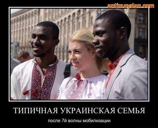 "Мыздобулы" в картинках. Смешных и не очень... 29-08-2016 "Мыздобулы" в картинках. Смешных и не очень... 29-08-2016