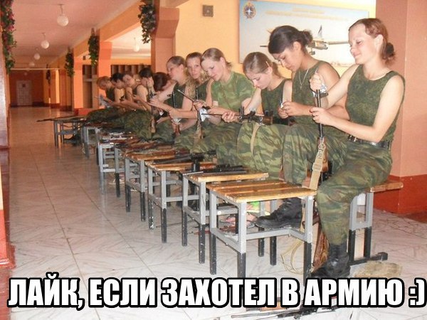 "Мыздобулы" в картинках. Смешных и не очень... 29-08-2016 "Мыздобулы" в картинках. Смешных и не очень... 29-08-2016