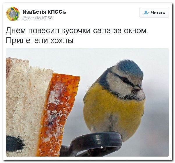 "Мыздобулы" в картинках. Смешных и не очень... 29-08-2016 "Мыздобулы" в картинках. Смешных и не очень... 29-08-2016