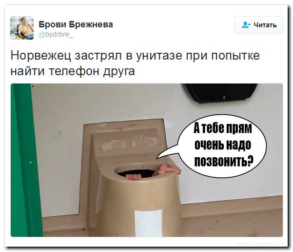 "Мыздобулы" в картинках. Смешных и не очень... 29-08-2016 "Мыздобулы" в картинках. Смешных и не очень... 29-08-2016