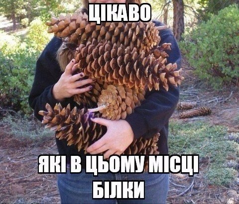 "Мыздобулы" в картинках. Смешных и не очень... 29-08-2016 "Мыздобулы" в картинках. Смешных и не очень... 29-08-2016