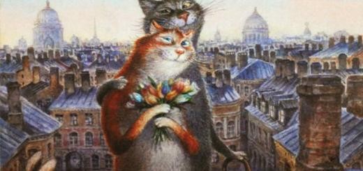 Питерские коты