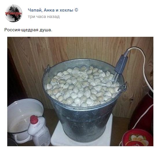  "Мыздобулы" в картинках. Смешных и не очень... 31-08-2016