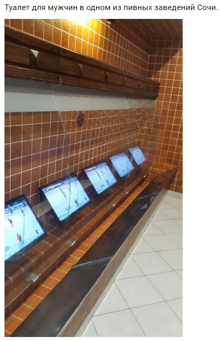  "Мыздобулы" в картинках. Смешных и не очень... 31-08-2016