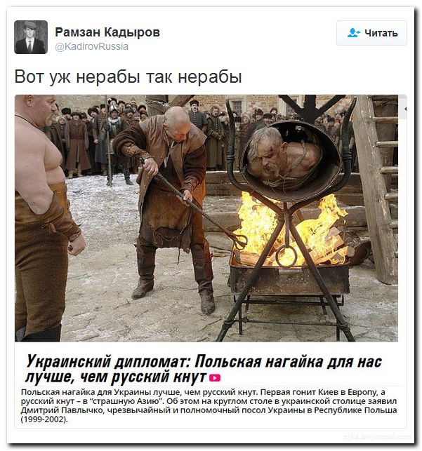  "Мыздобулы" в картинках. Смешных и не очень... 31-08-2016