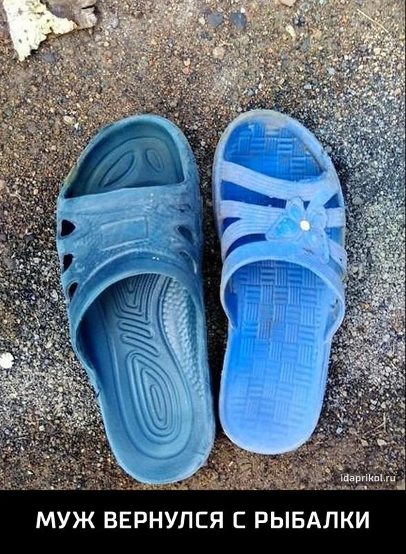  "Мыздобулы" в картинках. Смешных и не очень... 31-08-2016