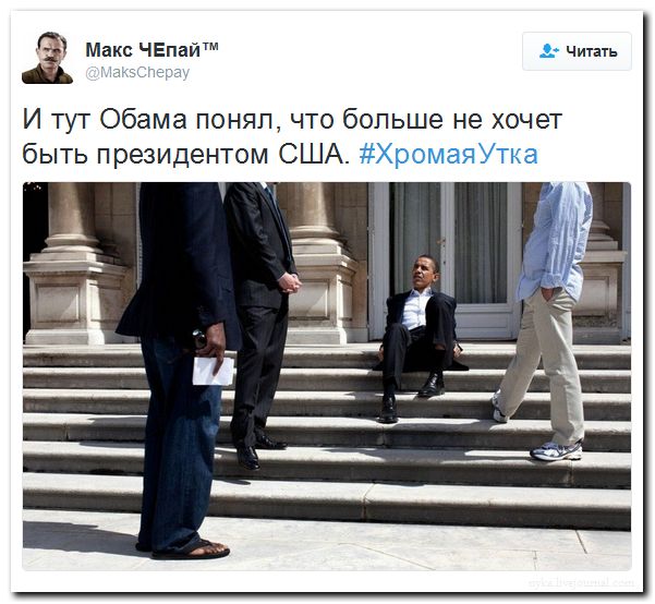  "Мыздобулы" в картинках. Смешных и не очень... 31-08-2016