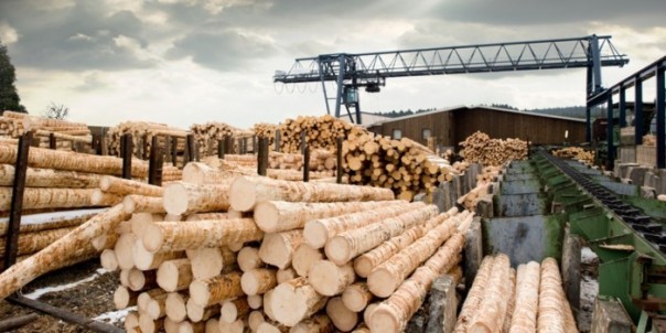 Житель Серпухова нашел в заказанных в интернете стройматериалах записку: "Памогите!" Житель Серпухова нашел в заказанных в интернете стройматериалах записку: "Памогите!"