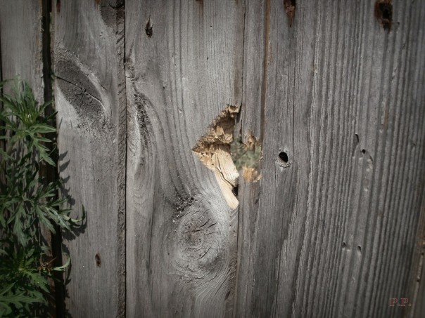 Последствия обстрела в ночь с 31 июля на 1 августа 2016 Последствия обстрела в ночь с 31 июля на 1 августа 2016