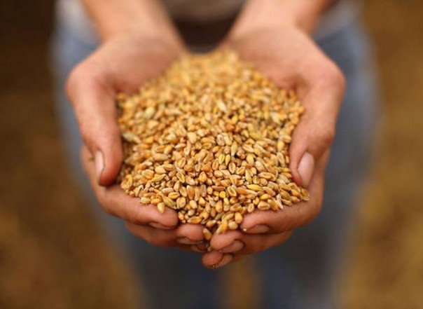 Воскресное настроение