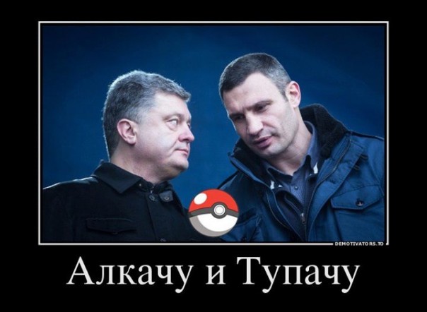 "Мыздобулы" в картинках. Смешных и не очень... 4-08-2016