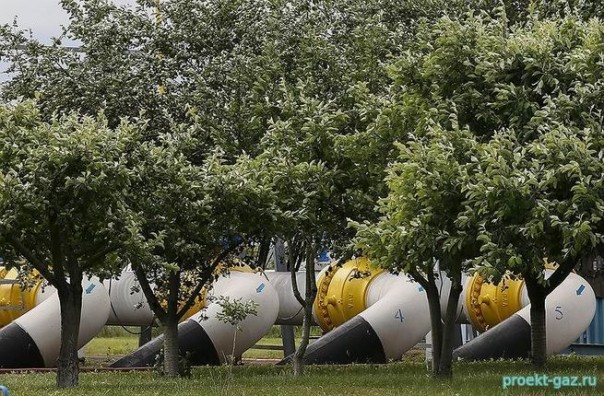 Украина просчиталась в прогнозах Украина просчиталась в прогнозах