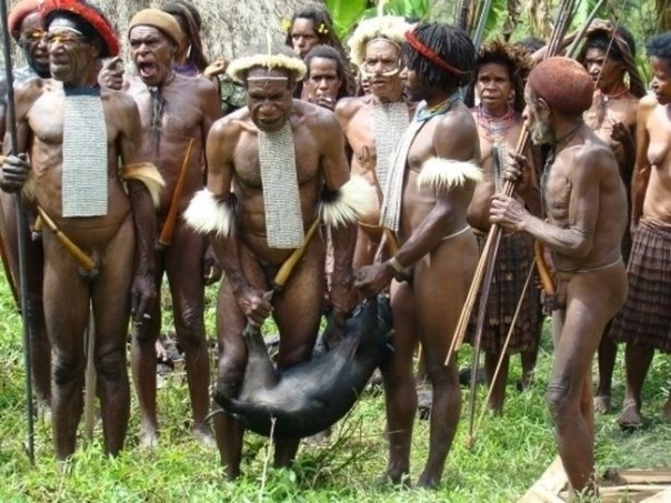 Александр Роджерс: Приключения поросёнка Пети в Индонезии Александр Роджерс: Приключения поросёнка Пети в Индонезии