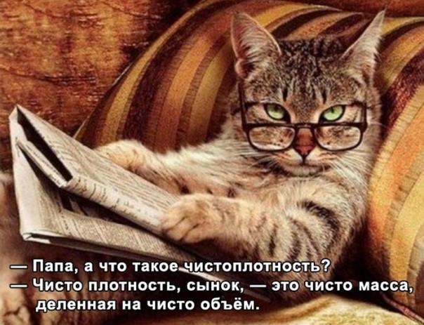 Шутки учёных