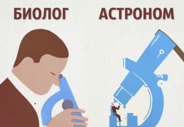 Шутки учёных