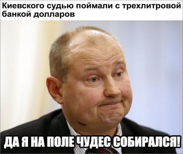 "Мыздобулы" в картинках. Смешных и не очень... 11-08-2016 "Мыздобулы" в картинках. Смешных и не очень... 11-08-2016