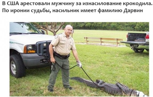 "Мыздобулы" в картинках. Смешных и не очень... 11-08-2016 "Мыздобулы" в картинках. Смешных и не очень... 11-08-2016