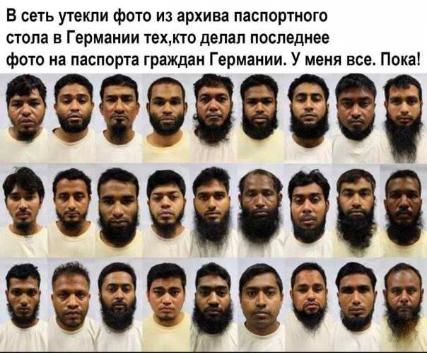 "Мыздобулы" в картинках. Смешных и не очень... 11-08-2016 "Мыздобулы" в картинках. Смешных и не очень... 11-08-2016