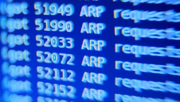 В США данные 200 конгрессменов оказались в Интернете