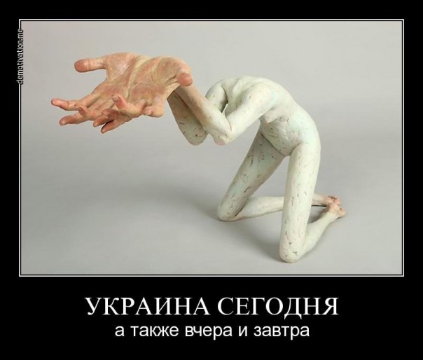 Мыздобулы" в картинках. Смешных и не очень... 13-08-2016 Мыздобулы" в картинках. Смешных и не очень... 13-08-2016