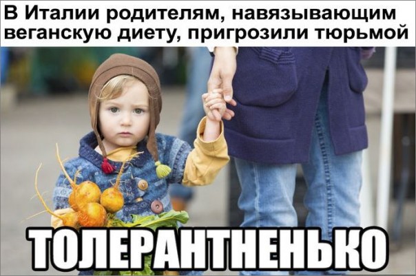 Мыздобулы" в картинках. Смешных и не очень... 13-08-2016 Мыздобулы" в картинках. Смешных и не очень... 13-08-2016