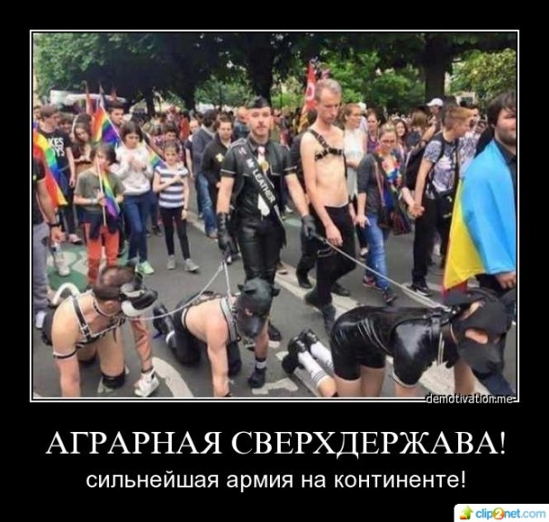 "Мыздобулы" в картинках. Смешных и не очень... 17-08-2016