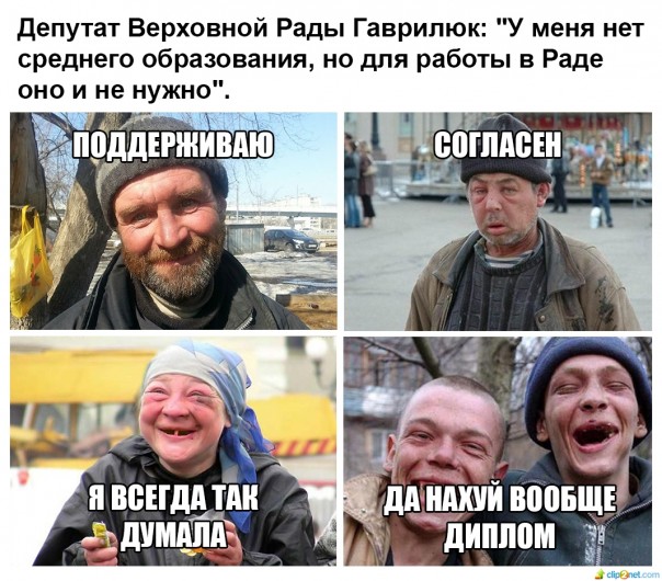 "Мыздобулы" в картинках. Смешных и не очень... 17-08-2016