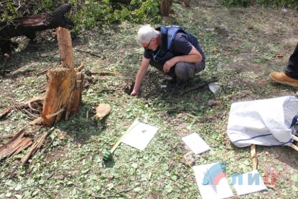 Сводка от НМ ЛНР 18 августа 2016 года. ВСУ перебрасывают в зону "АТО" подкрепление и готовят новую мобилизацию