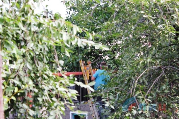 Сводка от НМ ЛНР 18 августа 2016 года. ВСУ перебрасывают в зону "АТО" подкрепление и готовят новую мобилизацию