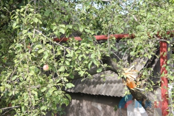 Сводка от НМ ЛНР 18 августа 2016 года. ВСУ перебрасывают в зону "АТО" подкрепление и готовят новую мобилизацию