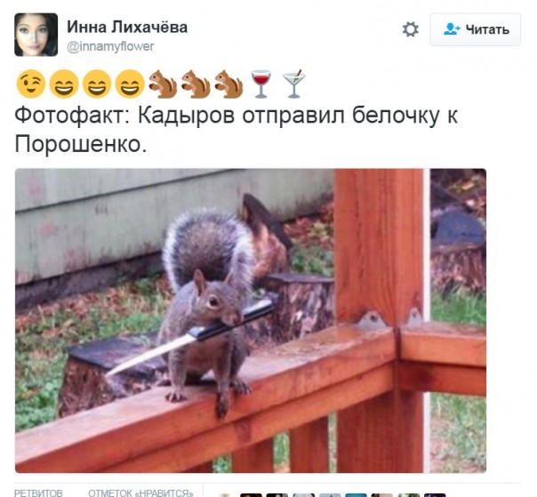 "Мыздобулы" в картинках. Смешных и не очень... 22-08-2016 "Мыздобулы" в картинках. Смешных и не очень... 22-08-2016