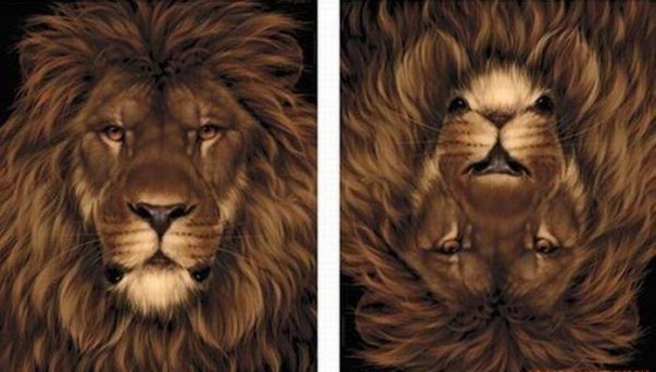 Ситуация-перевёртыш: Майдан как победа России