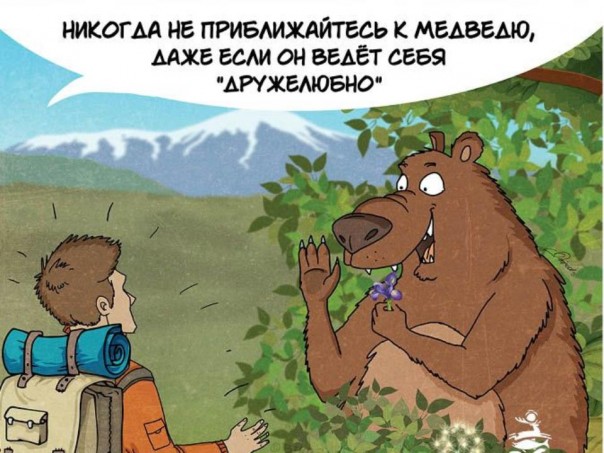 Как себя вести при встрече с русским медведем. Правила этикета Как себя вести при встрече с русским медведем. Правила этикета
