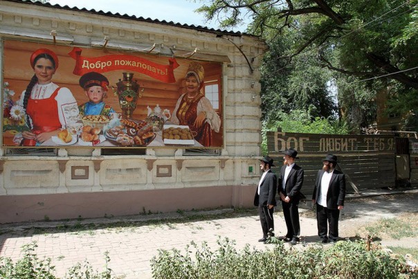 "Мыздобулы" в картинках. Смешных и не очень... 27-08-2016