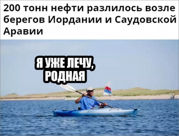 "Мыздобулы" в картинках. Смешных и не очень... 27-08-2016